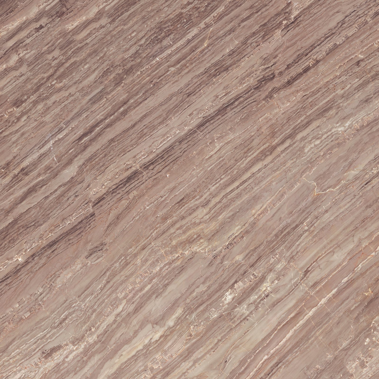 PLATINUM 50X50 DENVER BROWN (DIS)